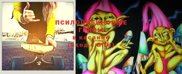 гидра Губаха