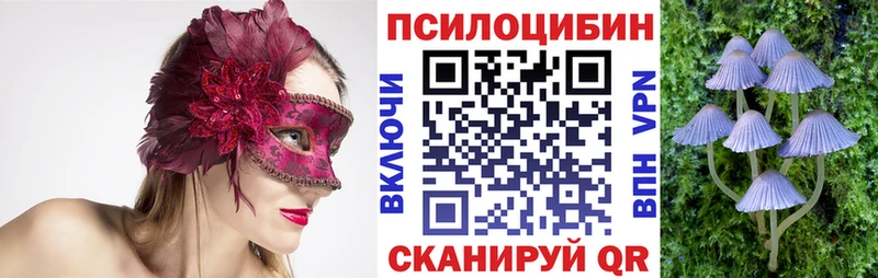 что такое   Любань  Псилоцибиновые грибы Cubensis 